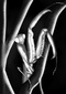 Avatar de NeRevePoint