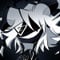 Avatar de Nisara
