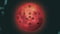 Avatar de oeil-de-la-lune