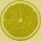 papa-citron
