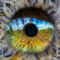 Avatar de partoutlameme