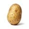 PatateEnceinte