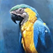 Avatar de Payrok