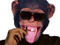 Avatar de Pazzifikateur7