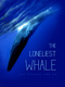 Avatar de PetiteBaleine