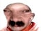 Avatar de pierroisafrog