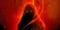 Avatar de Plagueis[JV]