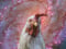 Avatar de Poulet_Cosmique