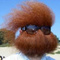 Avatar de PtiTouffe