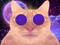 Avatar de Rapido08