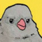 Avatar de RifsonPENIS