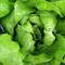 Avatar de SaladeDeAnus17