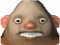 Avatar de SimsFootBig