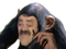 Avatar de SingeDeLaBourse