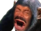 Avatar de SingeSingeur