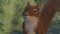 Avatar de Stelaris01