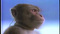 Avatar de suisjecuckk