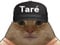 Avatar de taredu86