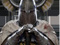 Avatar de TemplierVenere