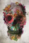 Avatar de TotenKopf[SZ]