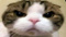 Avatar de toutseul_