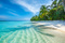 Avatar de tropicalflow