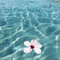 Avatar de Tropicoqueta