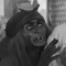 Avatar de uuy-gharr