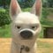 Avatar de VoltLeChien