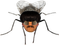 Avatar de xddxd