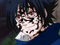 Avatar de Xxdarksasuk22xX