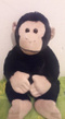 Avatar de ZeroAvenir35