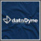 Datadyne_Corp