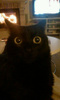 pierro_713