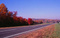 Roadside