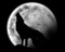 Avatar de Wolfyus