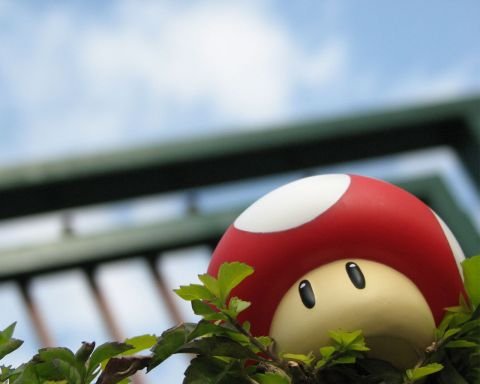 Avatar de -[Cool-CS]-