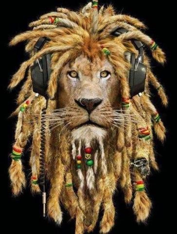 _farfa-raveuse_