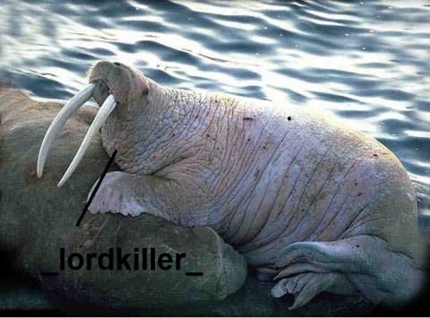 _lordkiller_