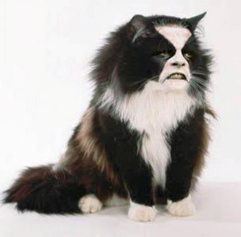 abbath_D_O