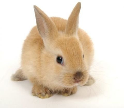 Avatar de Arthurleo_