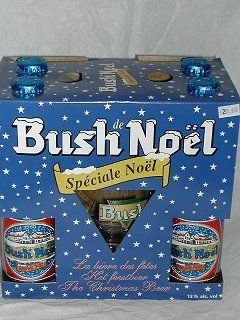 Bush_de_Noel