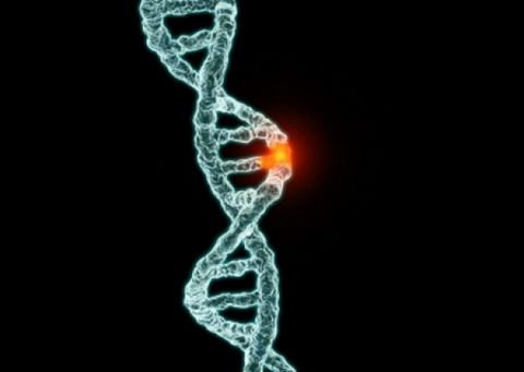Bad_Biogene