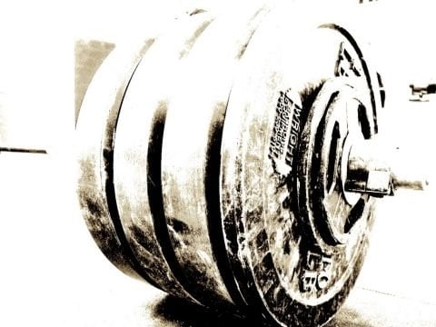 Broscience