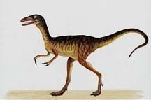 Profil de Compsognathus,  Jeuxvideo.com