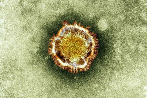 Avatar de Coronavirus