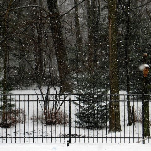 Avatar de ColdestWinter