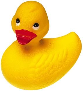 cycy_le_canard