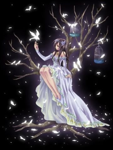 dark-shadow1307