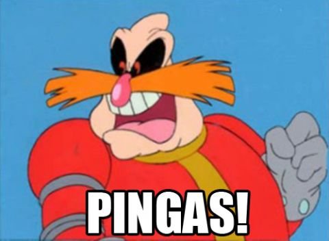 Dr-PINGAS